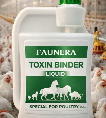 TOXIN BINDER
