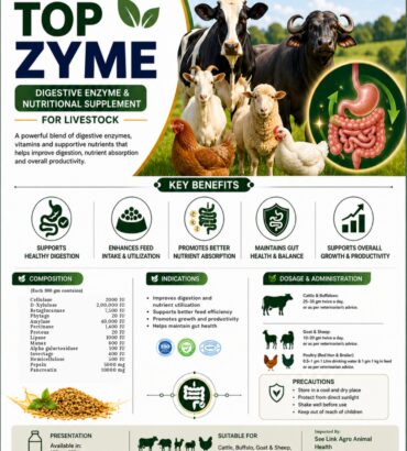 Nordcap Top Zyme