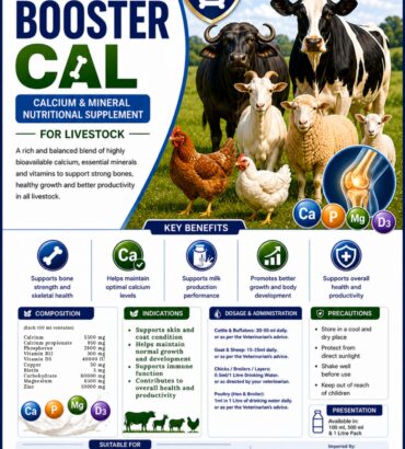 Nordcap Booster Cal