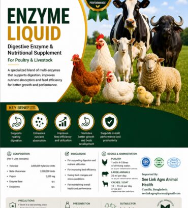 Nordcap Enzyme Liquid