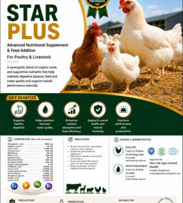 Nordcap Star Plus