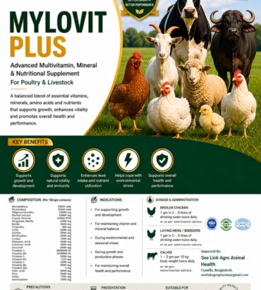 Nordcap MyLovit Plus