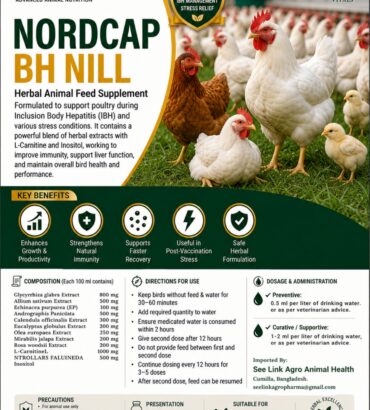 Nordcap BH Nill