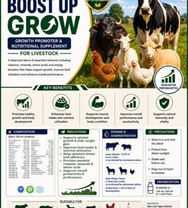 Nordcap Boost Up Grow