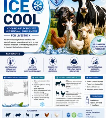 Nordcap ICE COOL