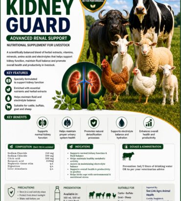 Nordcap Kidney Guard