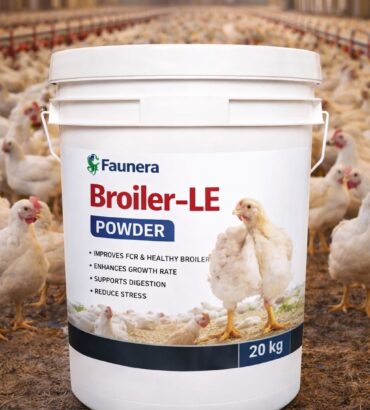 Broile LE Powder