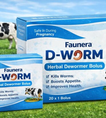 D-Worm Bolus