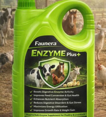Enzyme Plus Liquid