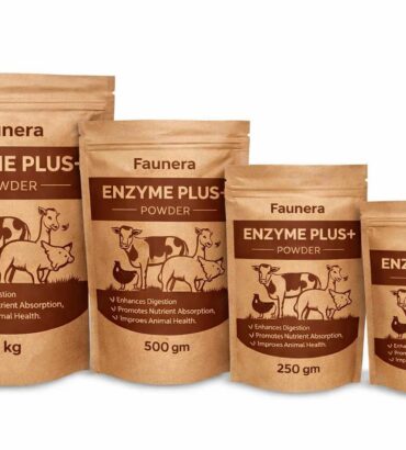 Enzyme Plus Powder