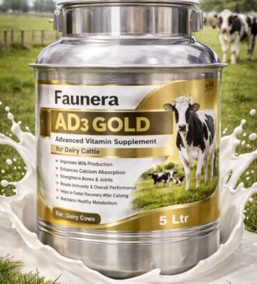 Faunera AD3 Gold