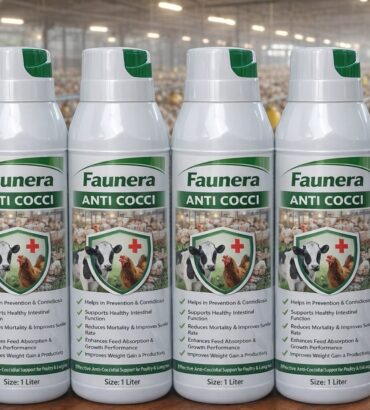 Anti Cocci