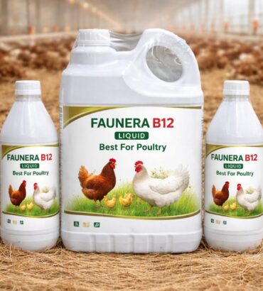 Faunera B12 Liquid