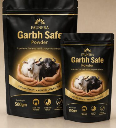 Garbh Safe Powder