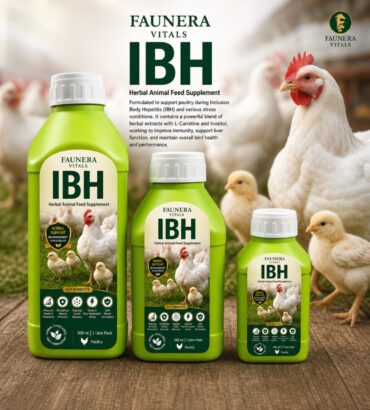 IBH