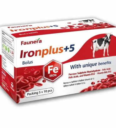 Iron Plus Bolus