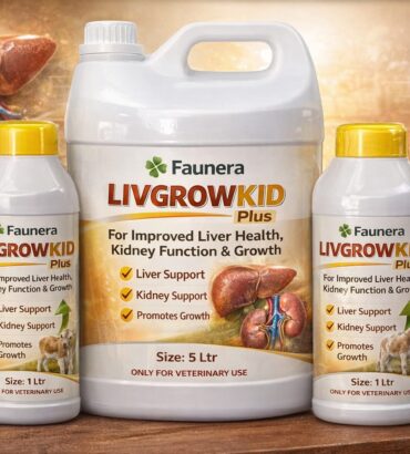 LIV GROW KID PLUS