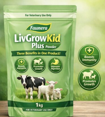 Liv Grow Kid Powder