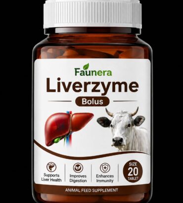 LIVER ZYME
