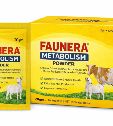 Metabolism Powder