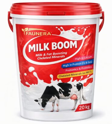 Milk Boom