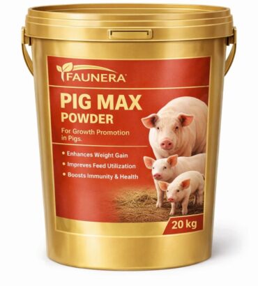 Pig Max Bucket