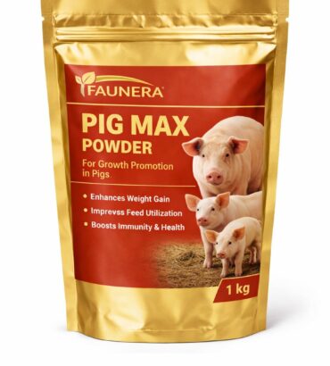 Pig Max Pouch