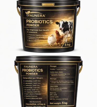 Probiotic Powder