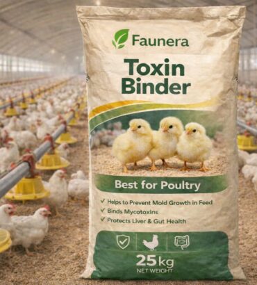 Toxin Binder