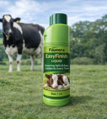 Easy Finish Liquid